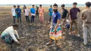 মেহেরপুরে গম পোড়ানোর আগুনে ১০০ বিহা জমির ফসল ধ্বংস, ক্ষতি ২৫ লাখ টাকা