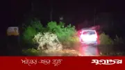 চুয়াডাঙ্গায় কালবৈশাখীর তাণ্ডব: বৃদ্ধের মৃত্যু, গাছ ভেঙে যান চলাচল ব্যাহত