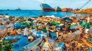 প্লাস্টিক দূষণ: পরিবেশ, স্বাস্থ্য ও অর্থনীতির জন্য হুমকি এবং টেকসই সমাধানের পথ