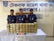 টেকনাফে মুরগির খামার থেকে পুলিশের অভিযানে উদ্ধার ৫ লাখ ইয়াবার চালান