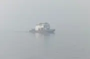 ঘন কুয়াশায় দেড় ঘণ্টা বন্ধ ছিল পাটুরিয়া-দৌলতদিয়া ফেরি, যানবাহন আটকা পড়ে