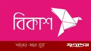 বিকাশে চাকরির সুযোগ: ডেপুটি জেনারেল ম্যানেজার পদে নিয়োগ, বয়সসীমা নেই