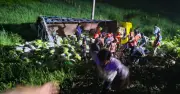 কুমিল্লার দাউদকান্দিতে চালবোঝাই ট্রাক দুর্ঘটনায় সাত জন নিহত, ছয় জন আহত