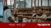 কুরবানি ওয়াজিব হওয়ার জন্য কতটুকু সম্পদ প্রয়োজন?
