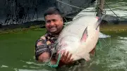 বাংলাদেশে অনলাইন শিক্ষার নতুন সম্ভাবনা: প্রযুক্তির মাধ্যমে শিক্ষার প্রসার