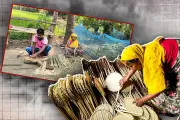 বাংলাদেশে অনলাইন শিক্ষার অগ্রগতি: নতুন সম্ভাবনা ও চ্যালেঞ্জ