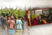 বাংলাদেশে অনলাইন শিক্ষার নতুন অধ্যায়: প্রযুক্তির মাধ্যমে শিক্ষার প্রসার