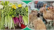 বিশ্বের প্রথম এয়ার ট্যাক্সি স্টেশন উদ্বোধন, সবজির বাজার চড়া ও মুরগির দাম কমার খবর