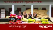 সিলেট সীমান্তে ৫৭ লাখ টাকার ভারতীয় গরু-মহিষসহ অবৈধ পণ্য জব্দ