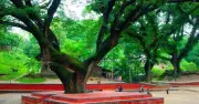 চট্টগ্রামের 'ফুসফুস' সিআরবিতে হাসপাতাল নির্মাণের নতুন উদ্যোগ, পরিবেশবাদীদের তীব্র প্রতিবাদ
