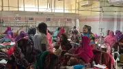 বগুড়া সিটি করপোরেশন উদ্বোধন করবেন প্রধানমন্ত্রী, জ্বালানি মূল্যবৃদ্ধিতে মালিক সমিতির সাধুবাদ