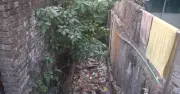 টাঙ্গাইলে পরিবেশ বিপর্যয়: দখল-দূষণে ২৭ খালের অস্তিত্ব সংকট