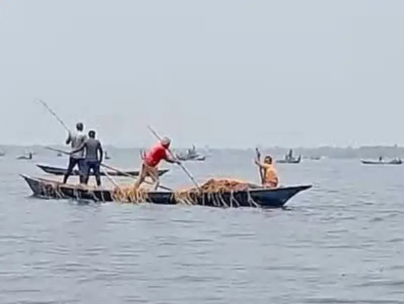 সুনামগঞ্জে ডুবে যাওয়া ধান কেটে নিচ্ছে দুর্বৃত্তরা, পুলিশি তৎপরতা