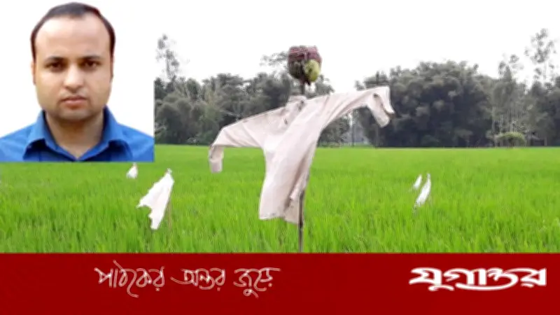 বাংলার কৃষি সংস্কৃতির অনন্য ঐতিহ্য কাকতাড়ুয়া