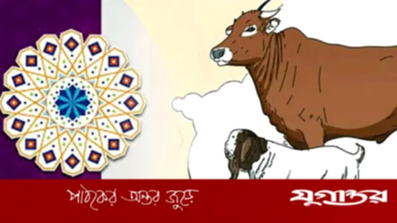 হালাল পশুর যে অংশগুলি খেতে অপছন্দ করতেন নবীজি (সা.)
