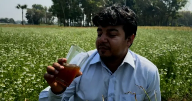 সীমান্ত হত্যা: তারেক রহমানের কঠোর হুঁশিয়ারি বিএসএফকে