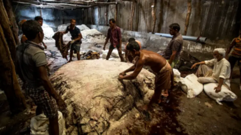 কোরবানির পশুর চামড়ার দাম বাড়াল সরকার, ঢাকায় বর্গফুটে ৬২-৬৭ টাকা
