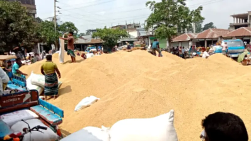 বাজেটে স্বাস্থ্যখাতে জিডিপির ১% বরাদ্দ, নানা সংকটে কৃষক