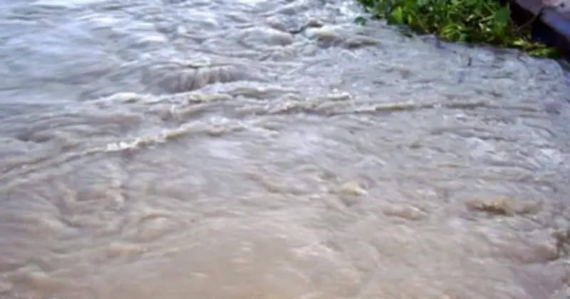 নেত্রকোনায় নদীতে জুতা আনতে গিয়ে শিশুর মৃত্যু