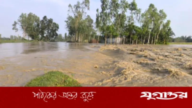 শেরপুরে পাহাড়ি নদীর পানি বৃদ্ধি, ঢলের শঙ্কা