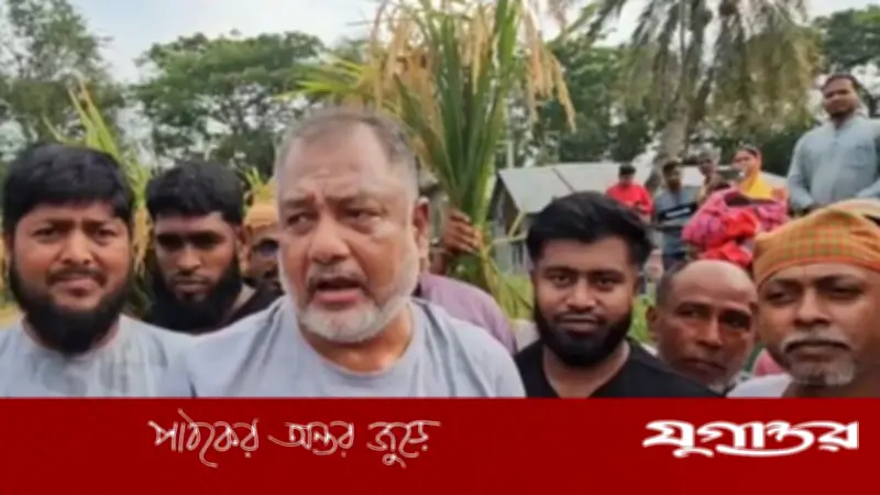 টুংগীপাড়ায় অসহায় নারীর ধান কেটে দিলেন এমপি জিলানী