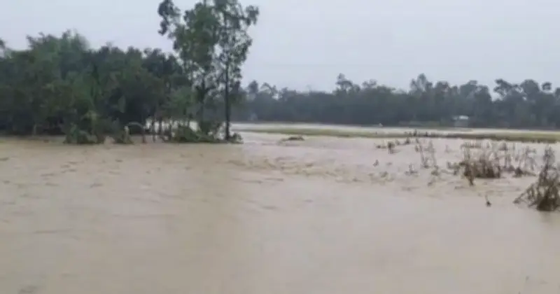হালুয়াঘাটে বন্যায় ফসলের ব্যাপক ক্ষতি, কৃষকরা বিপাকে