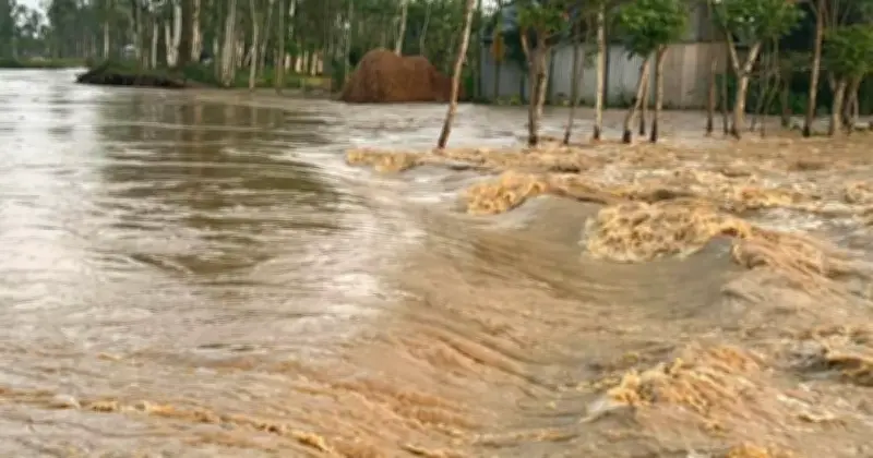 শেরপুরে পাহাড়ি ঢলে বাঁধ ভেঙে প্লাবিত নিম্নাঞ্চল