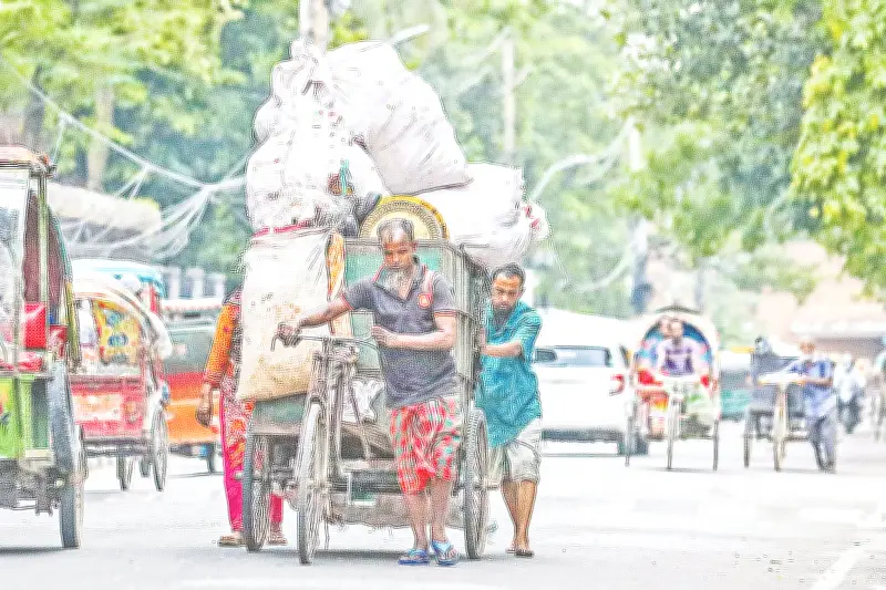 ঢাকা দক্ষিণ সিটির বর্জ্য ব্যবস্থাপনায় বিএনপি নেতা-কর্মীদের আধিপত্য