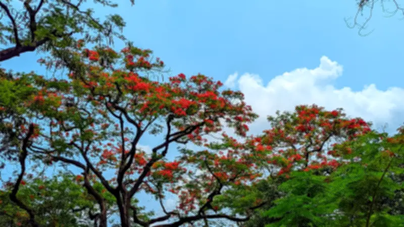 গ্রাম থেকে শহর, বদলে যাচ্ছে বাসস্থানের চিত্র