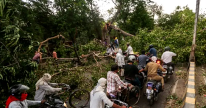 ভারতের উত্তরপ্রদেশে কালবৈশাখী ঝড়ে নিহত ১১১, আহত ৭২