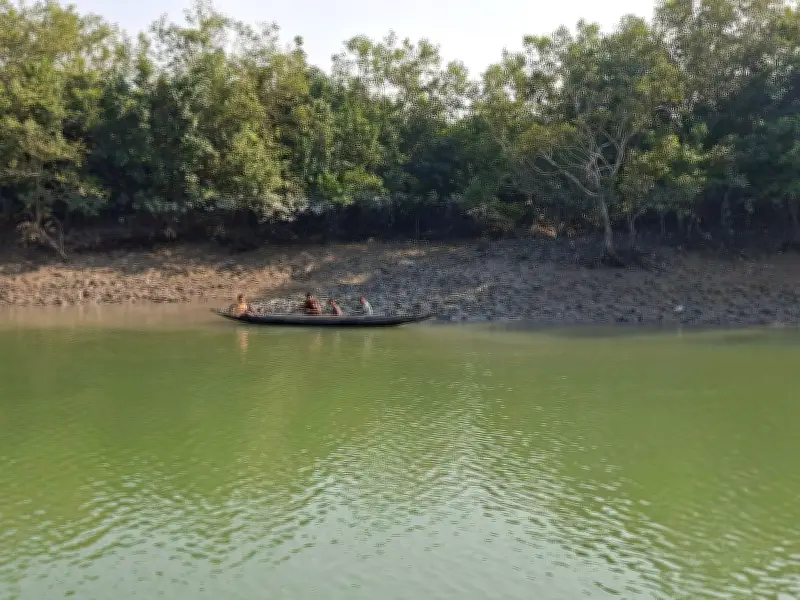 সুন্দরবনে আবারও ৮ বনজীবী অপহরণ, মুক্তিপণ দাবি দস্যুদের