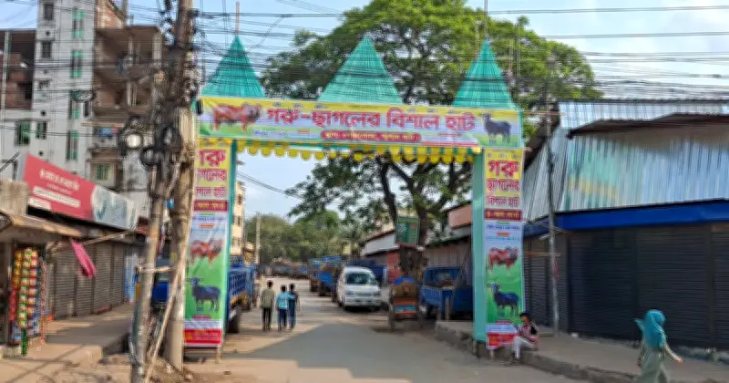 পোস্তগোলা শ্মশান ঘাটে ঈদের পশুর হাটের প্রস্তুতি শুরু