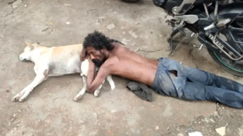 ট্রাক্টরে মাটি পরিবহনে নষ্ট রাস্তা, ধান নিয়ে দুশ্চিন্তায় চাষিরা