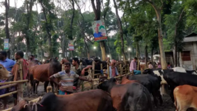 হাটে অতিরিক্ত টোল আদায়ের অভিযোগ, ক্ষুব্ধ ব্যবসায়ী ও ক্রেতারা