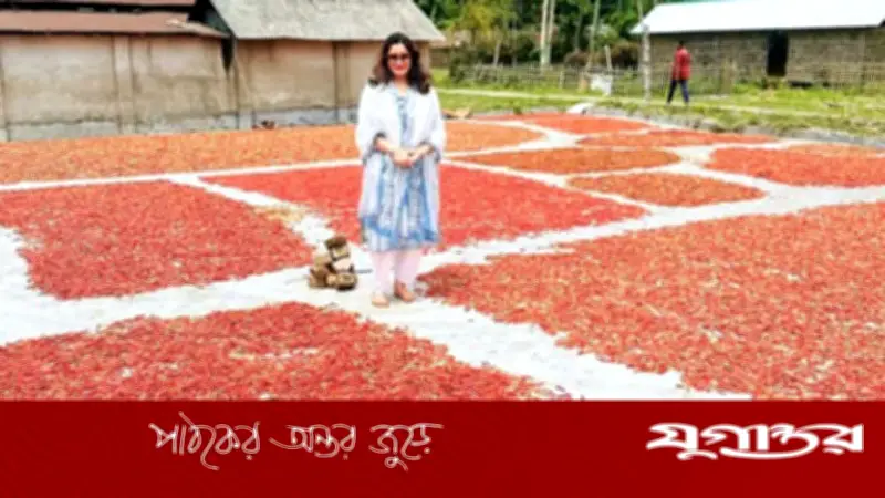 লাল মরিচের গালিচায় বিজ্ঞানী ড. সামারুহ মির্জা, মুগ্ধ নেটিজেন