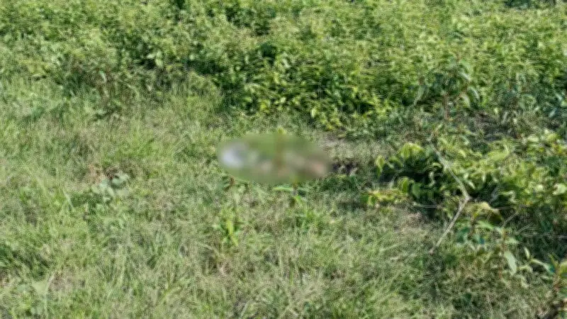 পাহাড়ের টিলায় মাথার খুলি ও বিদেশি মুদ্রা, জঙ্গি অর্থদাতা আটক