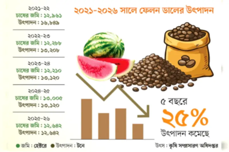 চট্টগ্রামে ফেলন ডালের উৎপাদন কমেছে ২৫ শতাংশ, কৃষকরা হতাশ