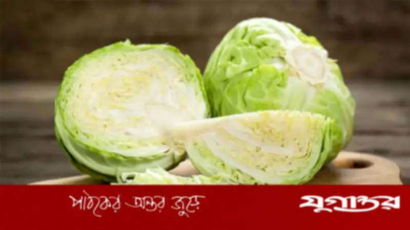 অতিরিক্ত বাঁধাকপি খেলে থাইরয়েডের সমস্যা হতে পারে, সতর্কতা বিশেষজ্ঞদের