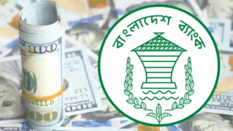 আসিফ মাহমুদ: কারিনার মৃত্যু গণতান্ত্রিক আকাঙ্ক্ষার জন্য অপূরণীয় ক্ষতি