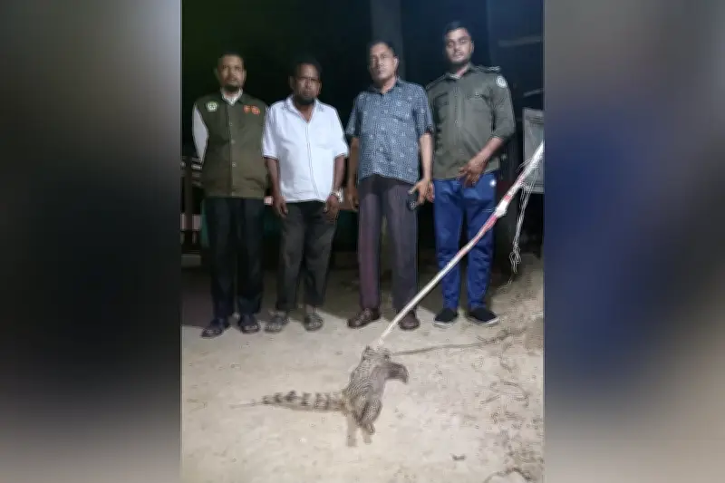 বাগডাশ পিটিয়ে হত্যার পর গাছে ঝুলিয়ে রাখার অভিযোগ