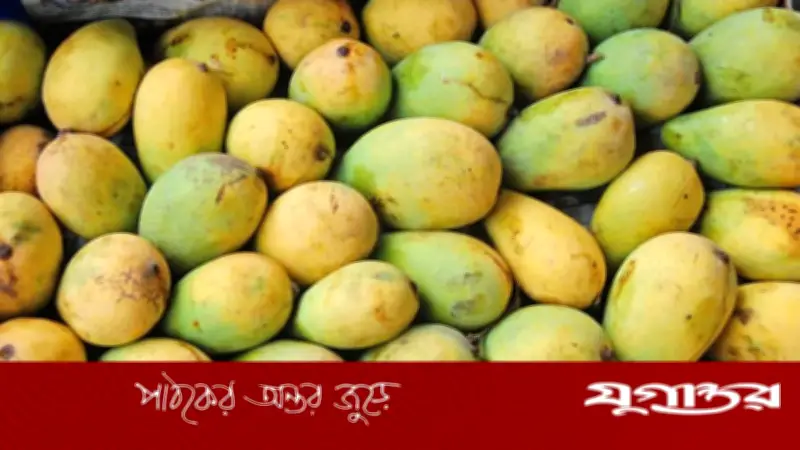 রাসায়নিক দিয়ে পাকানো আম চিনবেন যেভাবে