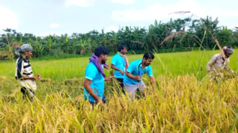 প্রত্যয় তরুণ সংঘের ধান কাটা, মসলার দাম বৃদ্ধি, প্রধানমন্ত্রীর স্মার্টফোন পরিকল্পনা