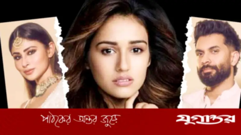 মৌনী-সুরজের বিচ্ছেদ: দিশা পাটানি কি দায়ী? রটনা নাকি সত্যি?