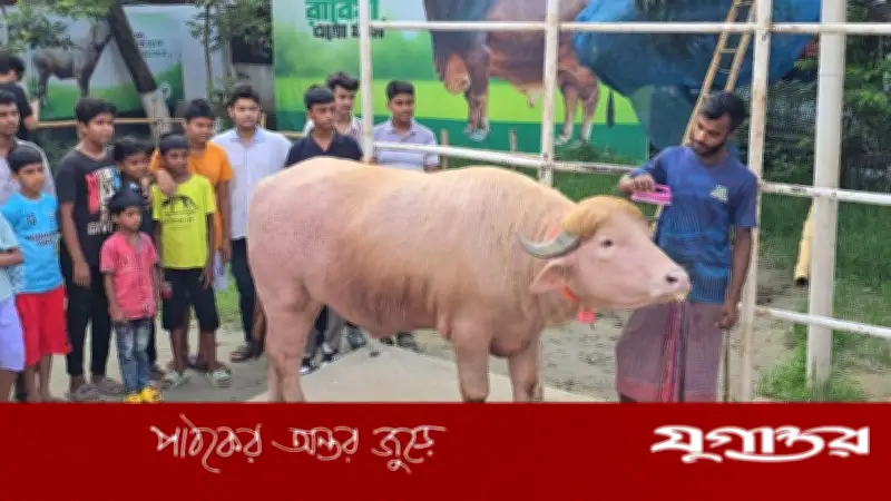 বিশ্ব নেতার নামে পশু বিক্রি: নেতানিয়াহু সাড়ে ৬ লাখে, ট্রাম্প সাড়ে ৩ লাখে