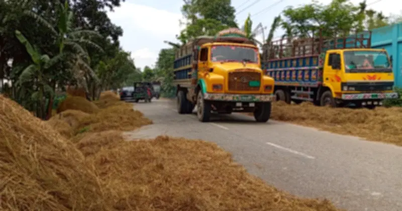 ময়মনসিংহে সড়কে ধান-খড় শুকানোয় বাড়ছে দুর্ঘটনার ঝুঁকি