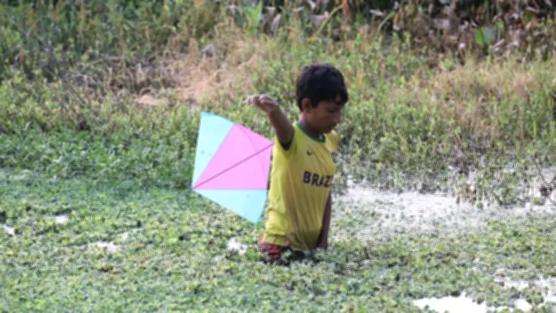 প্রকৃতির নানা রূপ ধরা দিয়েছে ক্যামেরায়