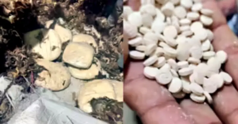 ভারতে প্রথমবার জব্দ জিহাদি ড্রাগ ক্যাপ্টাগন, গ্রেপ্তার সিরীয় নাগরিক