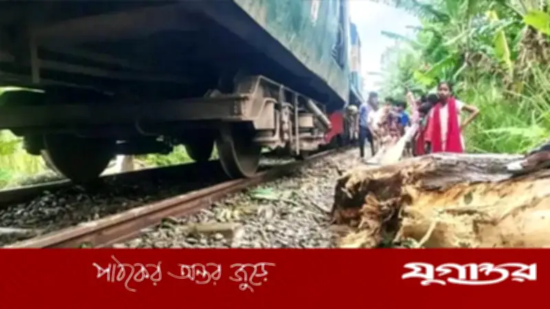 নীলফামারীতে গাছের ডালে ধাক্কা লেগে ট্রেন লাইনচ্যুত, রেল চলাচল বন্ধ