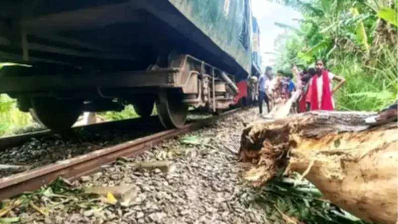 নীলফামারীতে ঝড়ে গাছের ডাল রেললাইনে, ট্রেনের ইঞ্জিন লাইনচ্যুত