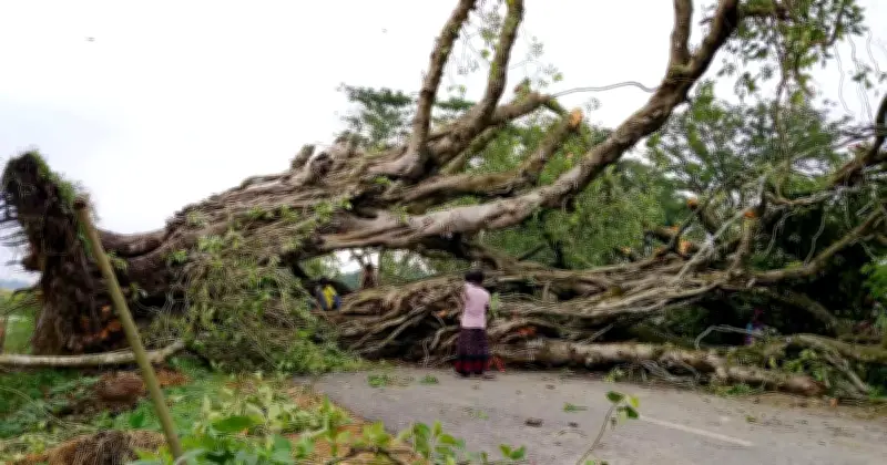 নওগাঁয় প্রচণ্ড ঝড়ে ঘরবাড়ি ও দোকানপাট লন্ডভন্ড, বিদ্যুৎ বিচ্ছিন্ন
